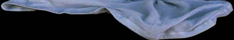 blanket.jpg (18204 bytes)