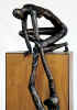 Paradoxical Strength 3RD VIEW.jpg (42655 bytes)